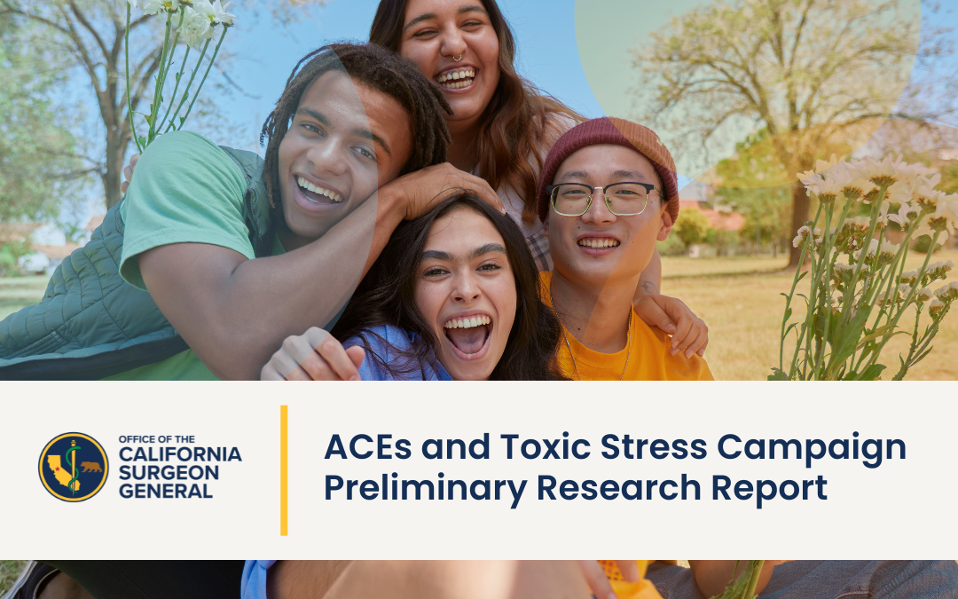 ACEs and Toxic Stress Campaign Preliminary Research Report